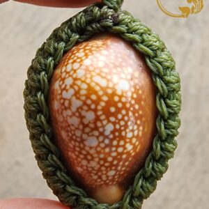 เบี้ยแก้ถักเชือก เสาร์๕ ปี 2536 หลวงพ่อเปิ่น วัดบางพระ จังหวัดนครปฐม