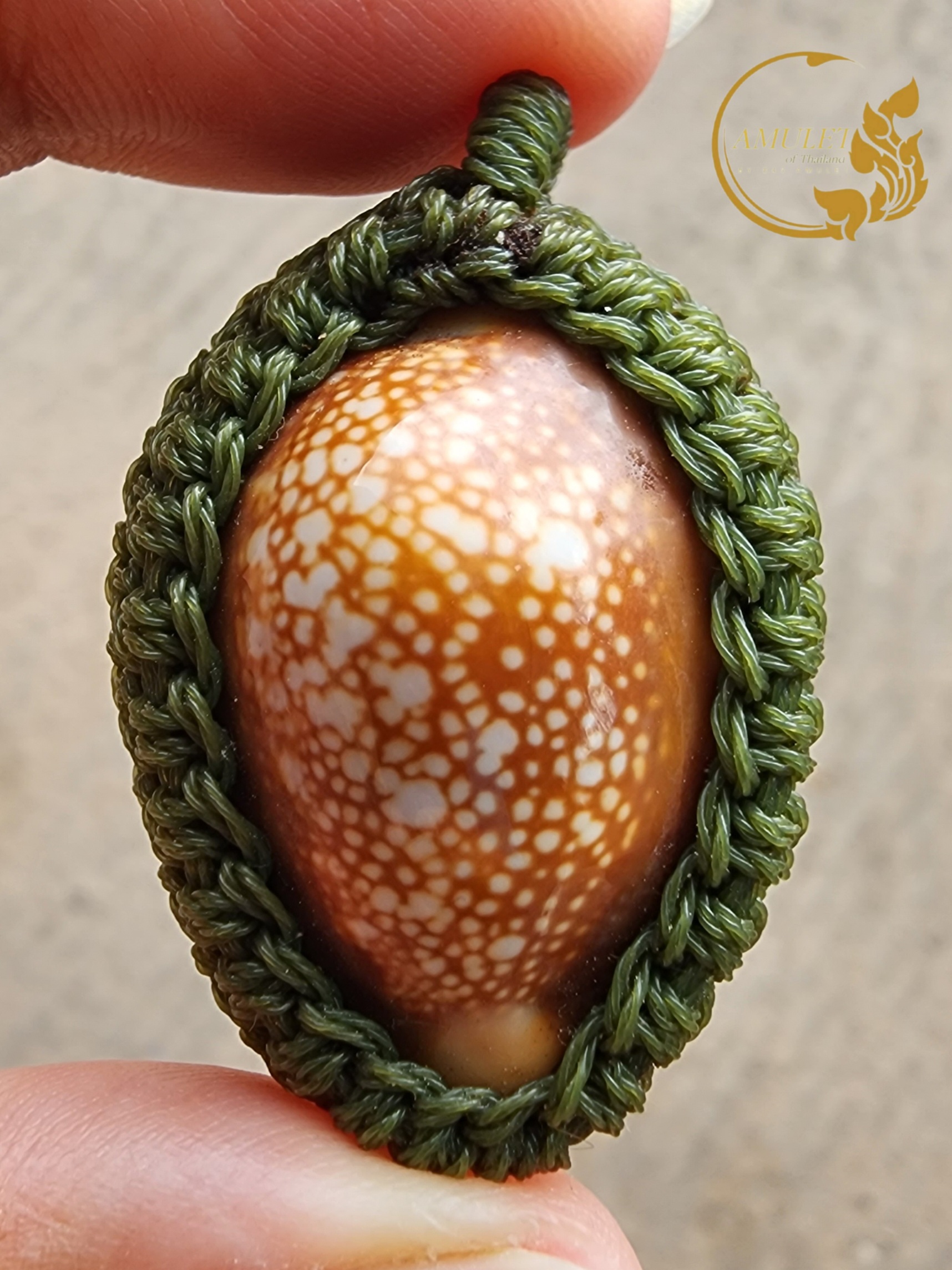 เบี้ยแก้ถักเชือก เสาร์๕ ปี 2536 หลวงพ่อเปิ่น วัดบางพระ จังหวัดนครปฐม