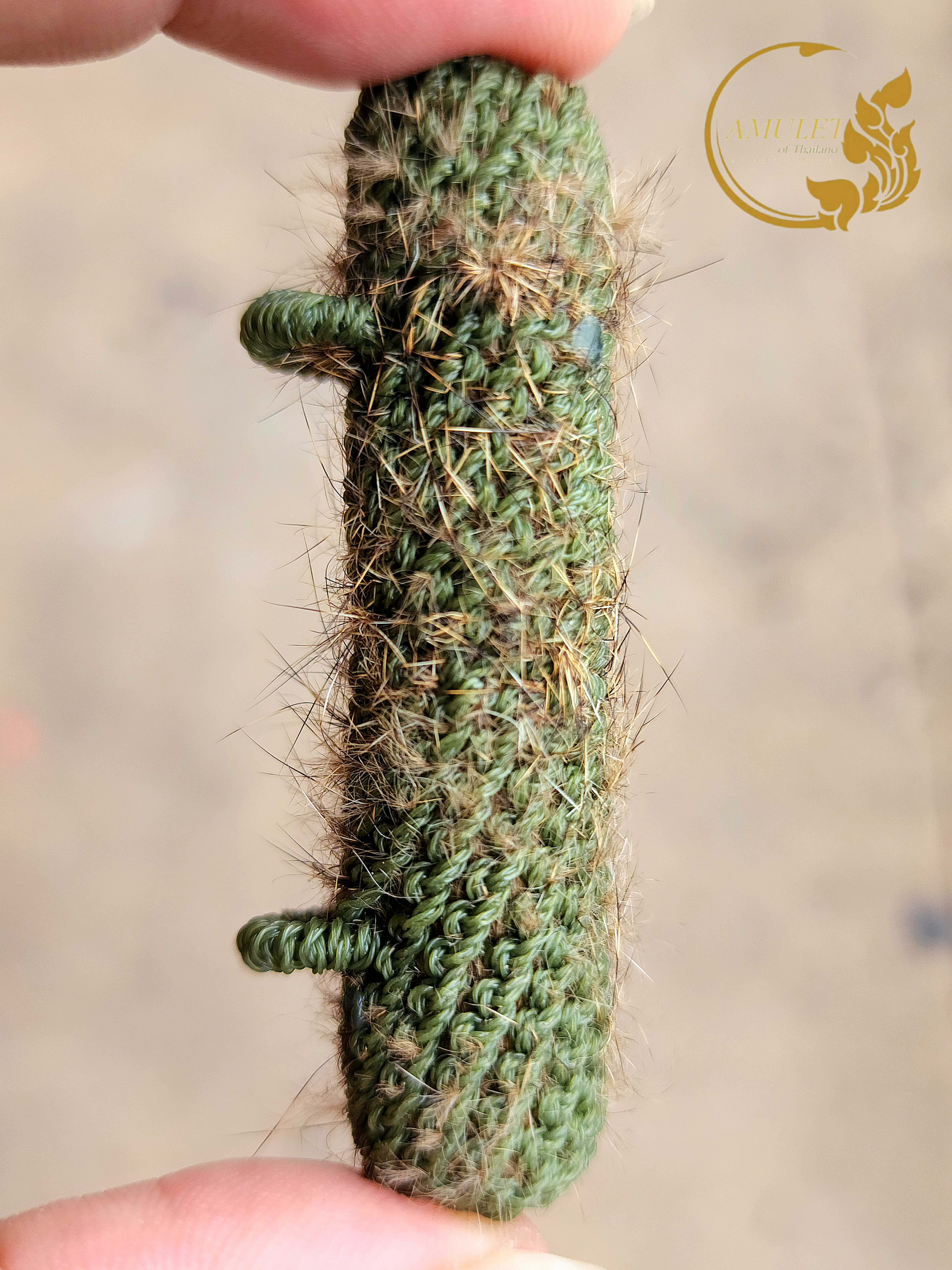 Alternative view of ตะกรุดหนังเสือหลวงพ่อเปิ่น วัดบางพระ จังหวัดนครปฐม