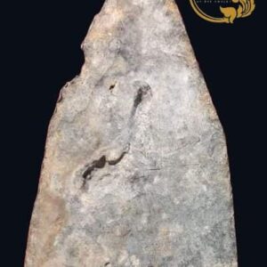 Alternative view of พระท่ากระดานหูช้าง กรุวัดเหนือ จังหวัดกาญจนบุรี