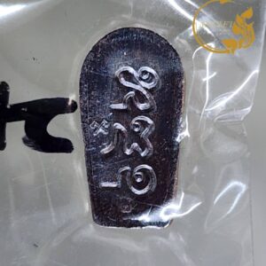 Alternative view of ปรกจ้อยเศรษฐี ปี 2561 หลวงปู่สำลี สุทธจิตโต วัดถ้ำคูหาวารี จังหวัดเลย