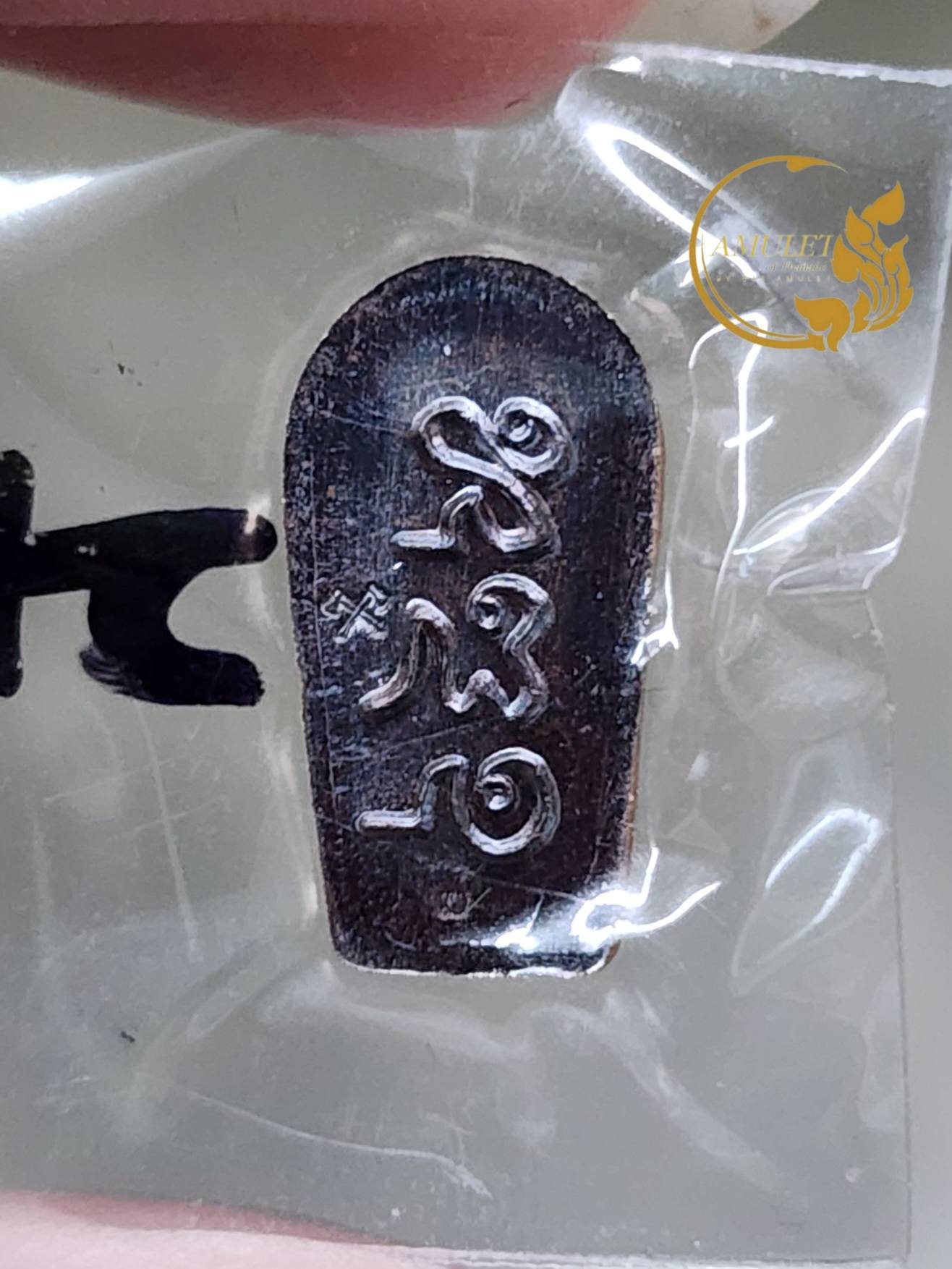 ปรกจ้อยเศรษฐี ปี 2561 หลวงปู่สำลี สุทธจิตโต วัดถ้ำคูหาวารี จังหวัดเลย - Image 2