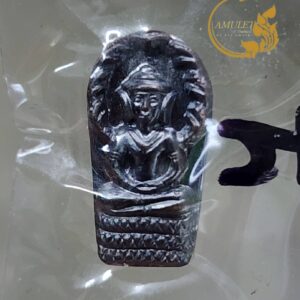 ปรกจ้อยเศรษฐี ปี 2561 หลวงปู่สำลี สุทธจิตโต วัดถ้ำคูหาวารี จังหวัดเลย