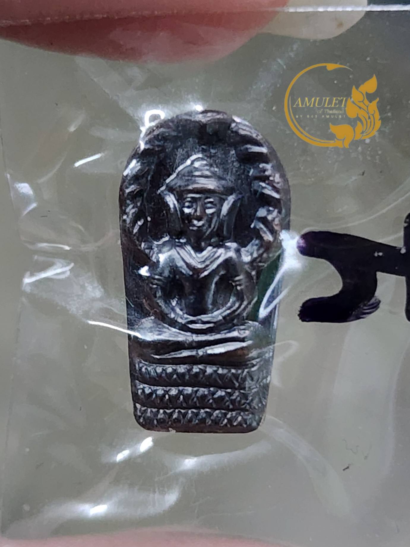 ปรกจ้อยเศรษฐี ปี 2561 หลวงปู่สำลี สุทธจิตโต วัดถ้ำคูหาวารี จังหวัดเลย