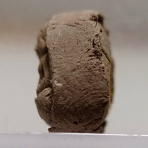 Alternative view of พระสังกัจจายน์ พิมพ์เล็ก หลวงปู่ลี กุสลธโร วัดภูผาแดง จังหวัดอุดรธานี