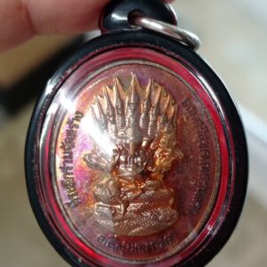 เหรียญศรีสุขคเณศ ปี 2561 จังหวัดอุดรธานี พระพิฆเนศปางนาคปรกหนึ่งเดียวในโลก