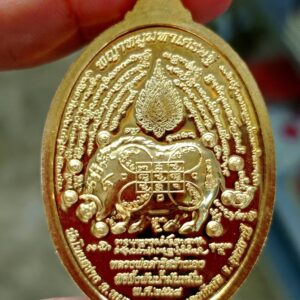 Alternative view of เหรียญพญาหมูมหาเศรษฐี ปี 2568 หลวงพ่อเจ้าคุณเจริญ ฐานยุตโต วัดโนนสว่าง จังหวัดอุดรธานี