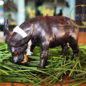 ควายธนู พิมพ์ใหญ่ หลวงพ่อเจริญ ฐานยุตโต วัดโนนสว่าง จังหวัดอุดรธานี